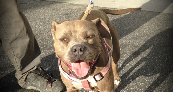 ESTELLA AND HER DAD LOST EVERYTHING IN THE&nbsp;FIRE