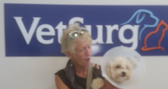 CHARLIE UPDATE POST&nbsp;SURGERY