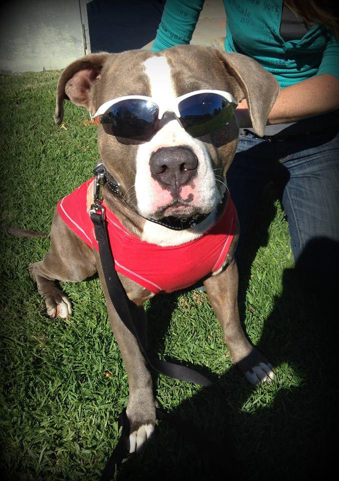 10530919_1575147626056856_5051146948212233273_n