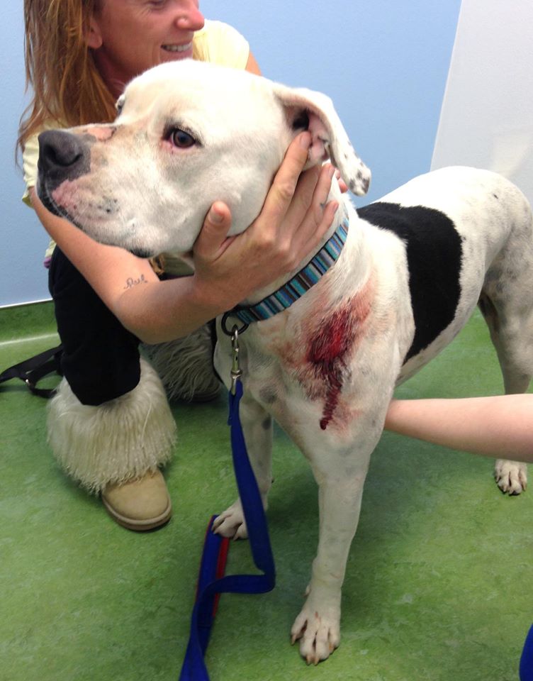 10608457_1601792806725671_918730536322654436_o