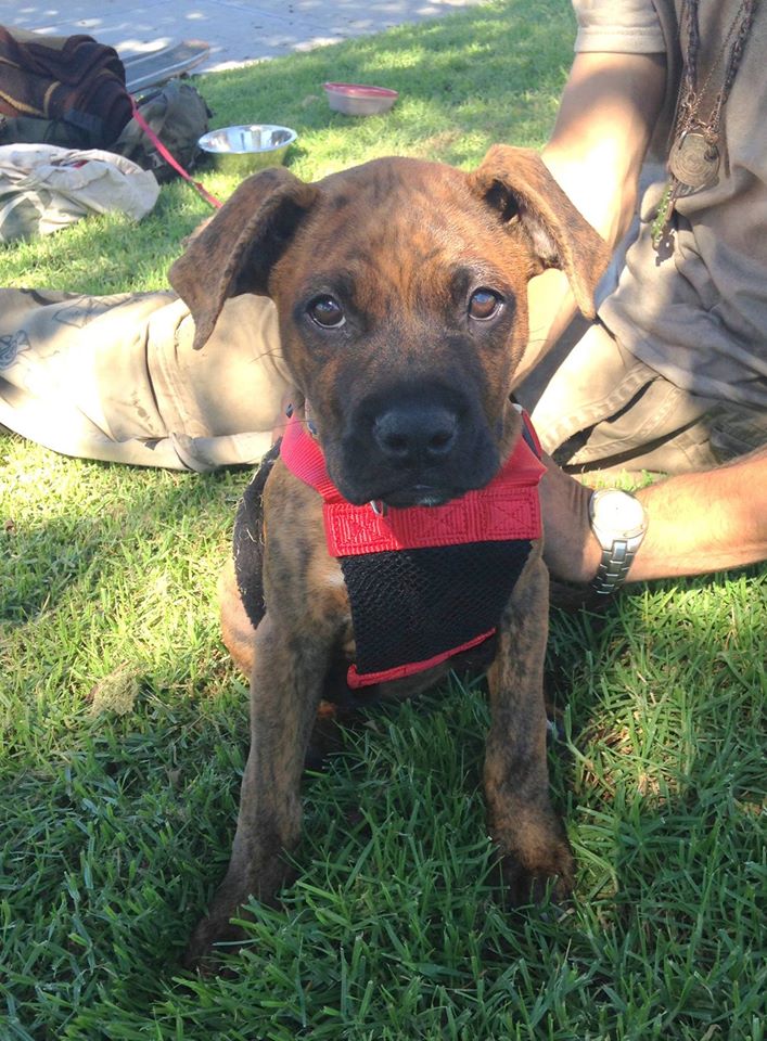 12068474_1667773343460950_3102503250058999018_o