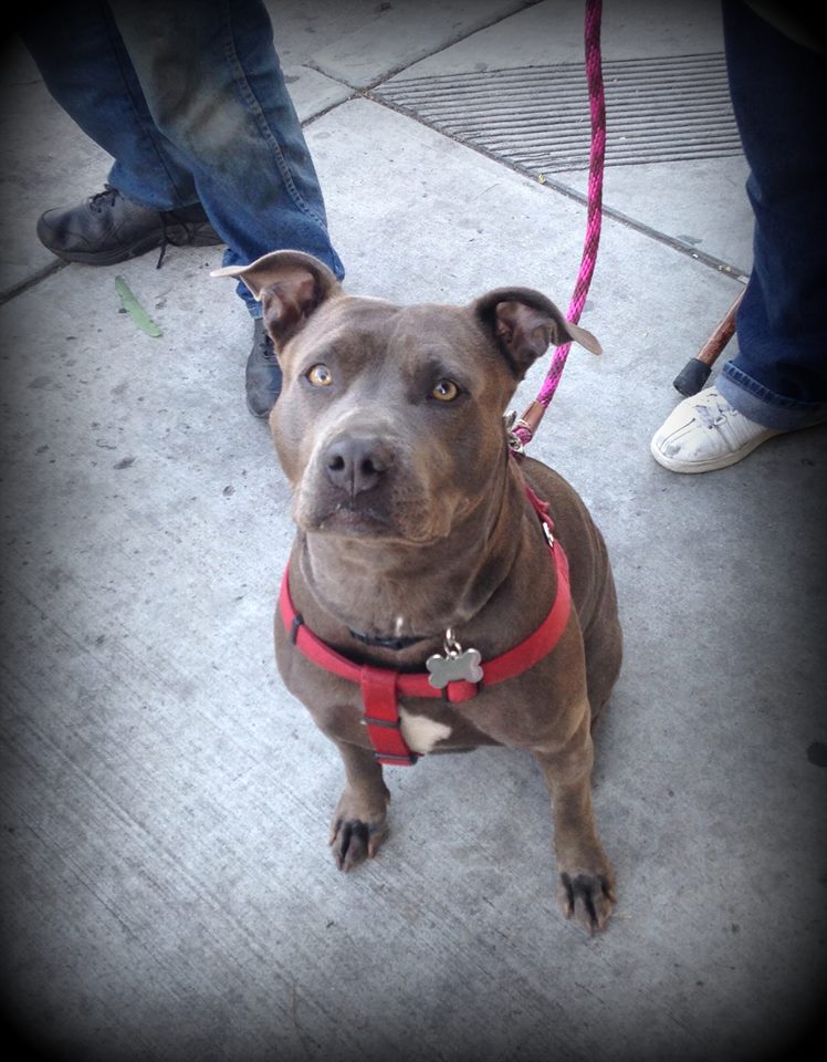 12108967_1670301046541513_8986606115692049748_n