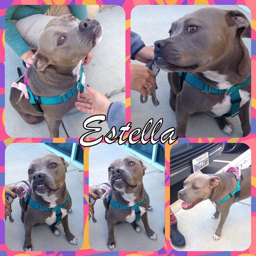 12191659_1673977839507167_8388077160880751763_n