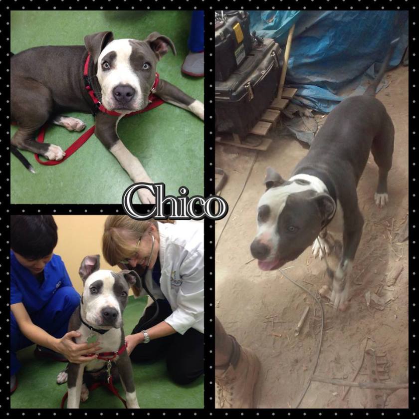 1510997_1609162819322003_3143486307384710182_n