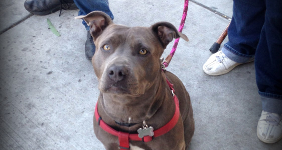 THANK YOU BUDDY NATION ~ Another donation&nbsp;received