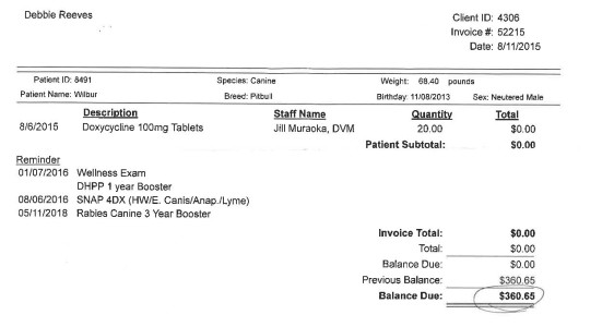 NEED SOME HELP BUDDY&nbsp;NATION